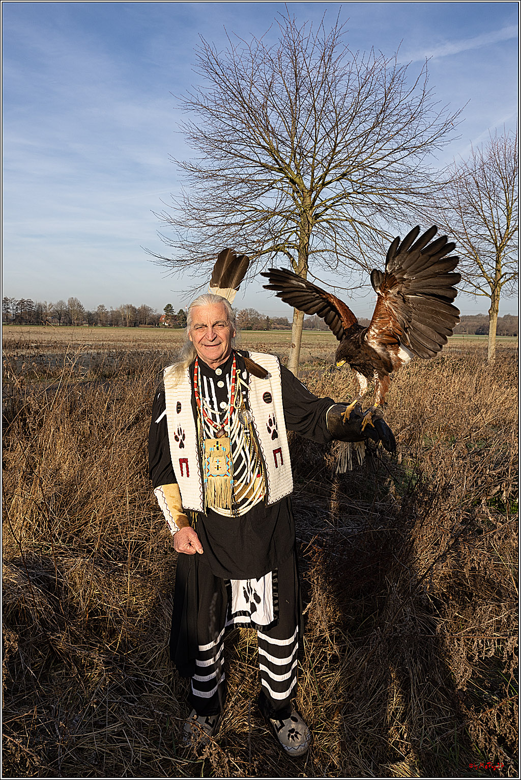 Cheyenne-Halbblut Hunting Wolf in der Falknerei Pierre Schmidt; Gymnich, 09.02.2023